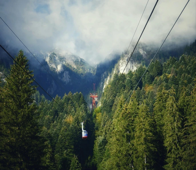 a gondola over looking the mountain with trees