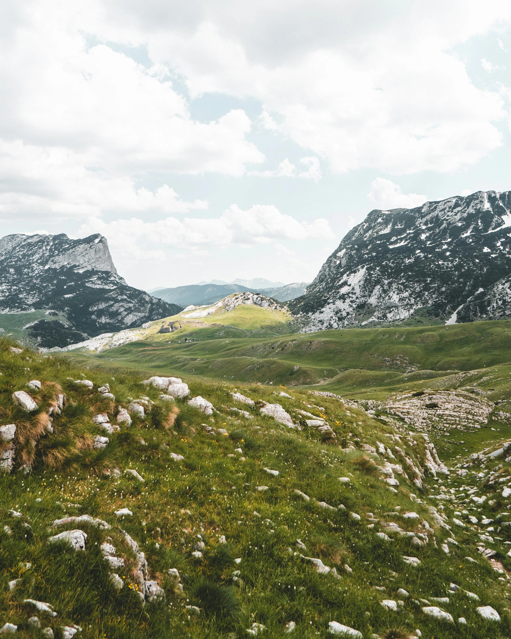 a scenic view of a grassy field with rocks and greenery on either side