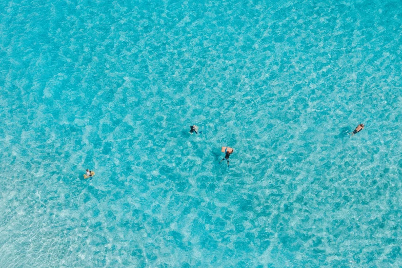 several people in the ocean on surfboards