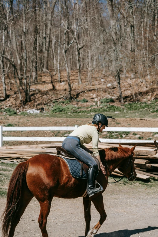 a person riding on the back of a brown horse