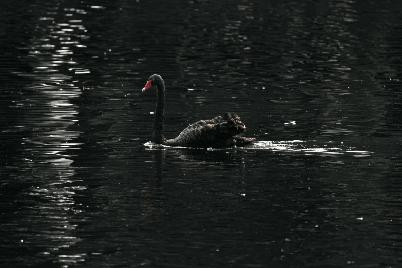 an animal swimming in the water with it's mouth open