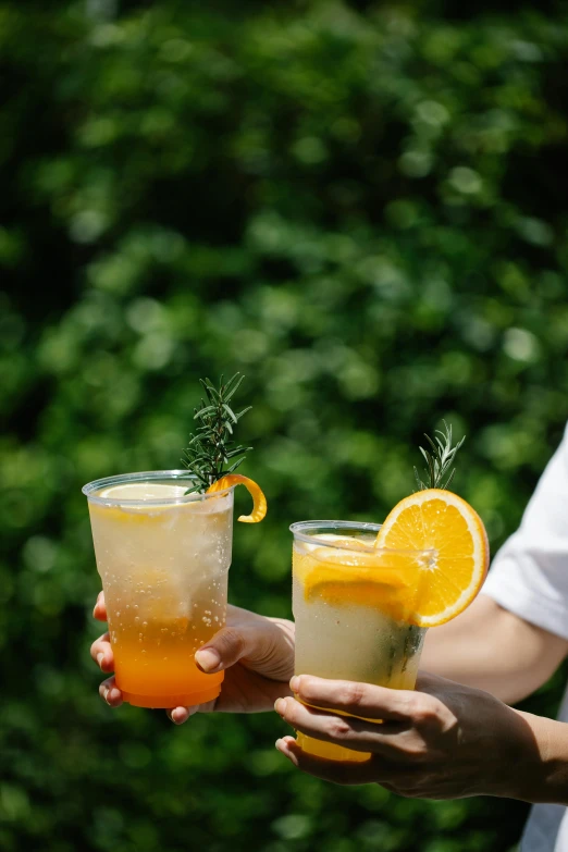 two women holding up cocktails with orange slices and herbs