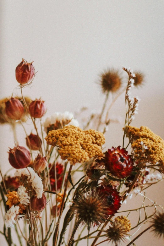 a vase filled with a mixture of dead flowers