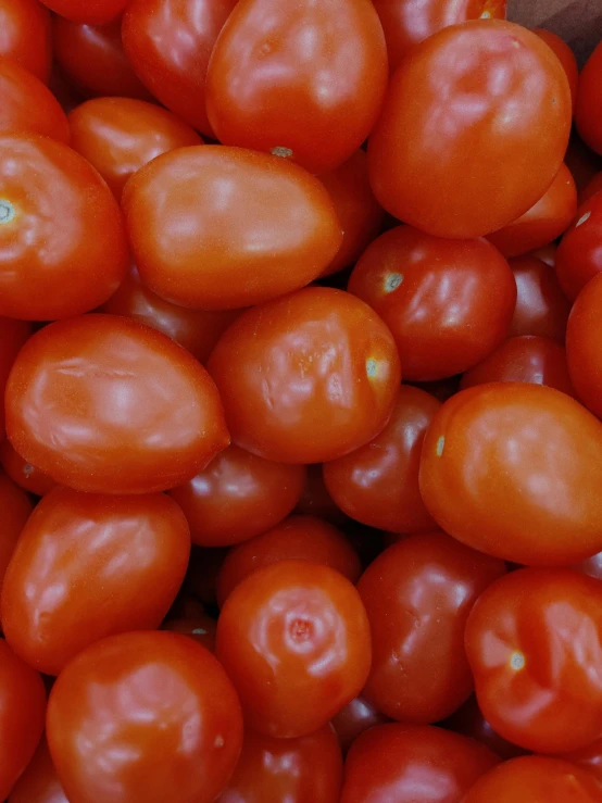 several pieces of ripe tomatoes are on display