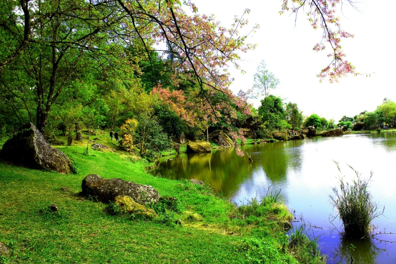 a man is fishing on a calm lake