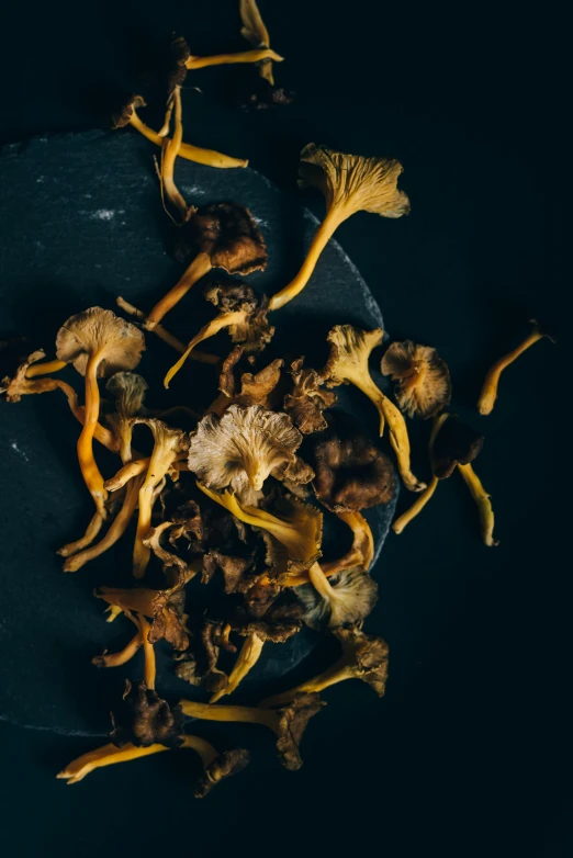 there are several yellow mushrooms on the table