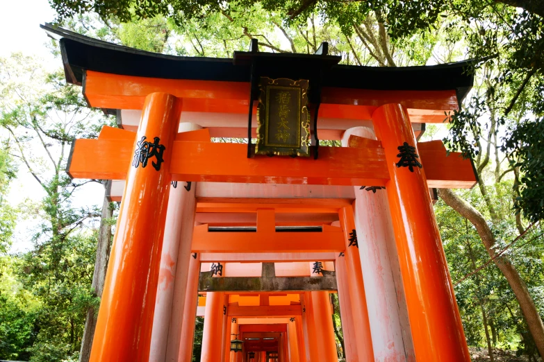 a group of pillars and lights in front of trees