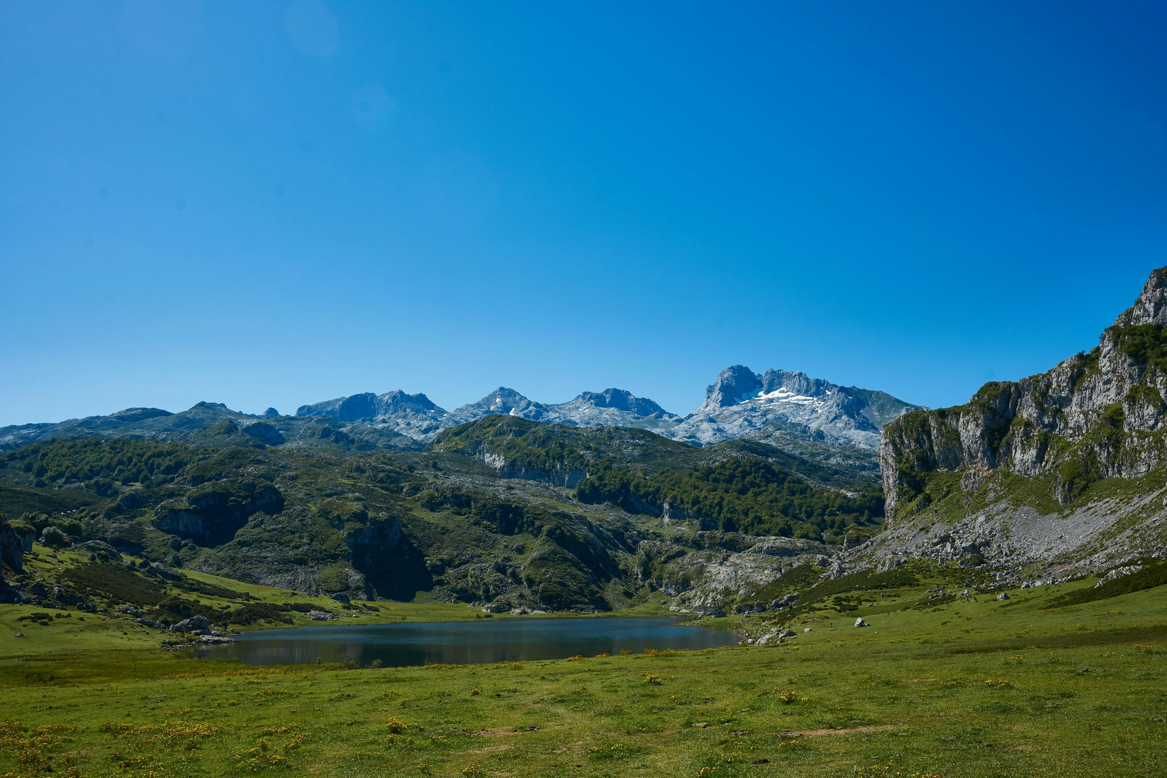 the mountains and grass are surrounded by trees