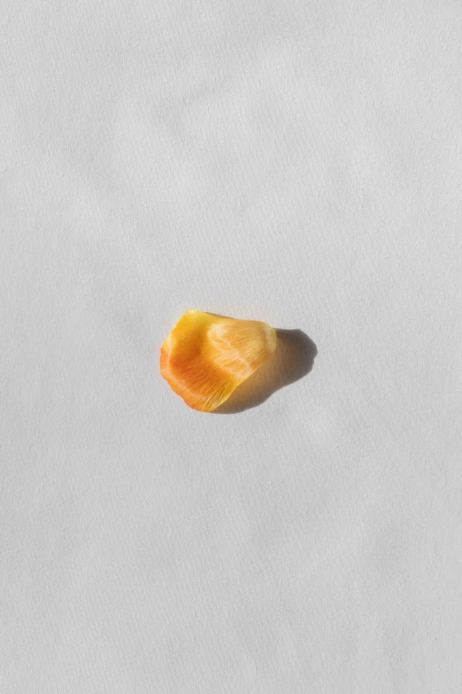 a piece of squash on a light gray surface