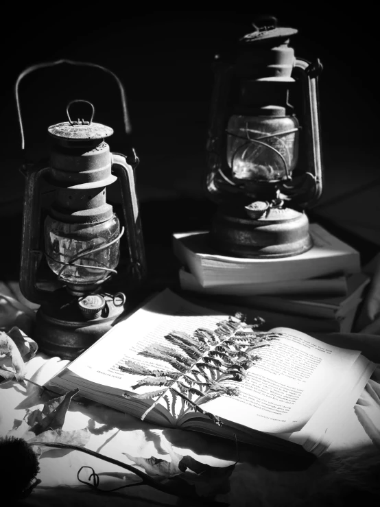 black and white pograph of a open book, lantern and other items