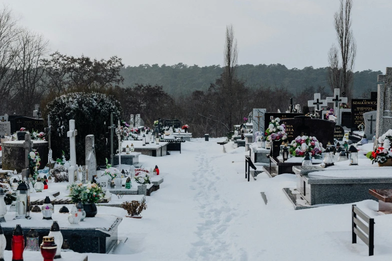 snow covers rows of graves at a cemetery
