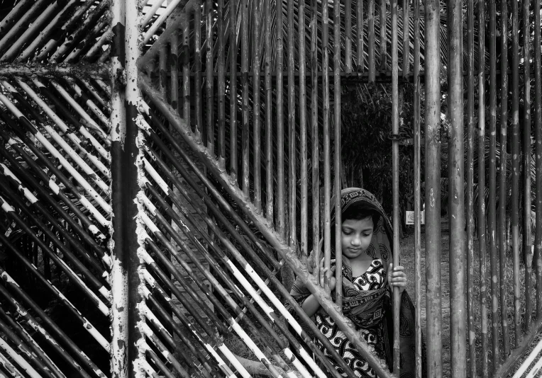  peering out from behind the gate at the zoo