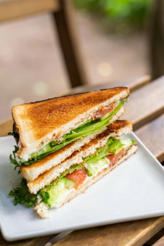 two halves of a toasted sandwich are sitting on a plate