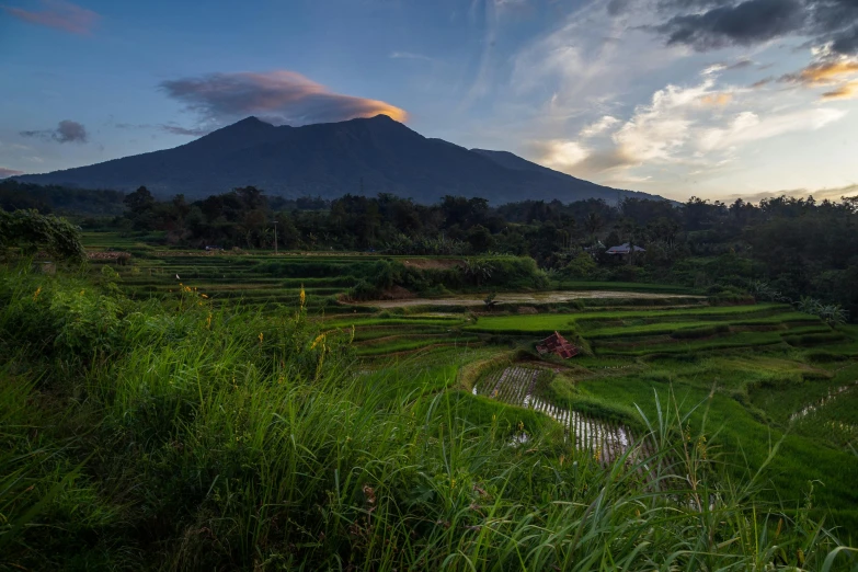 a mountain is seen in the distance on a cloudy day