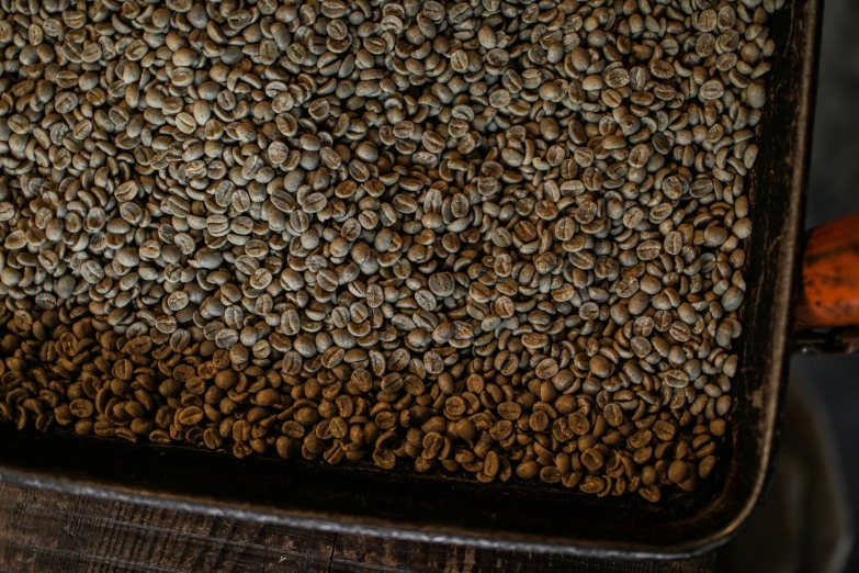 a picture of some coffee beans spread over