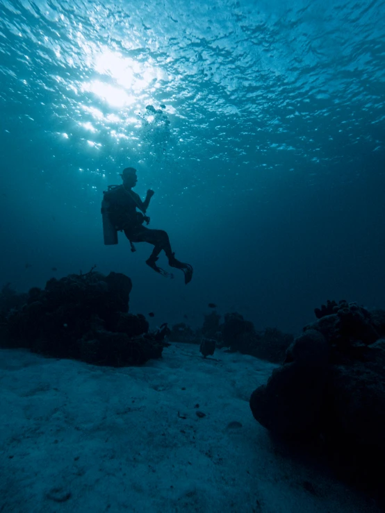 a scuba diver taking a po under the water