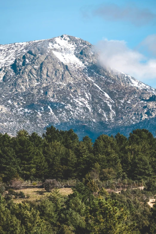 some mountains surrounded by trees and snow