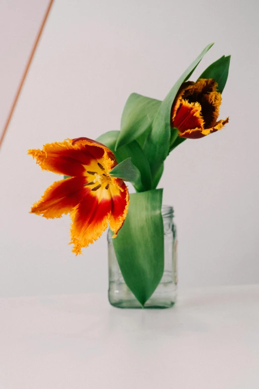 a vase with orange flowers sitting on top of a table