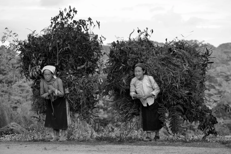 two women stand in tall bushes as the sun goes down