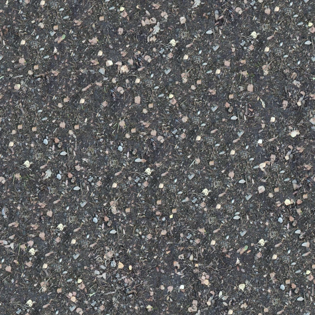 an assortment of small speckles all over the surface