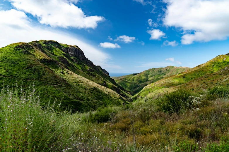 some very pretty green hills with plants on them