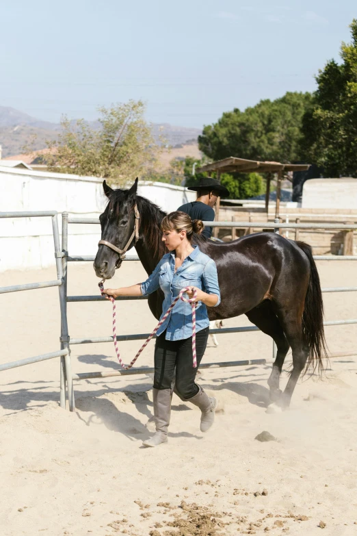 a woman is training a brown horse in an arena