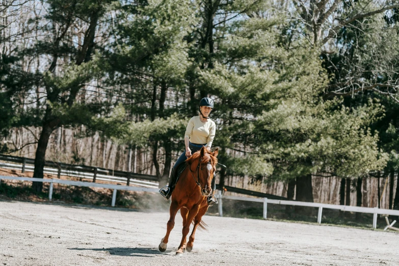 a person riding a horse on a sandy field