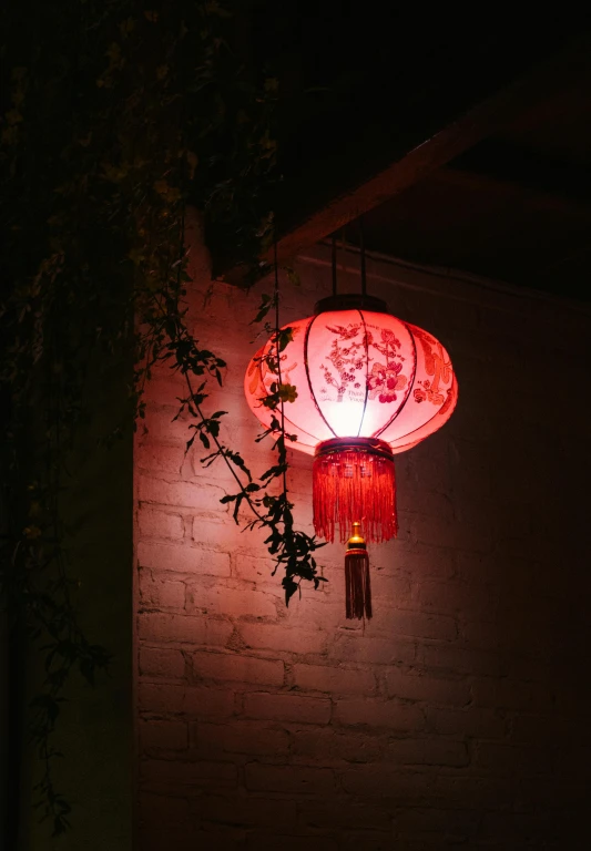 two chinese style lamps hanging above the back of a house