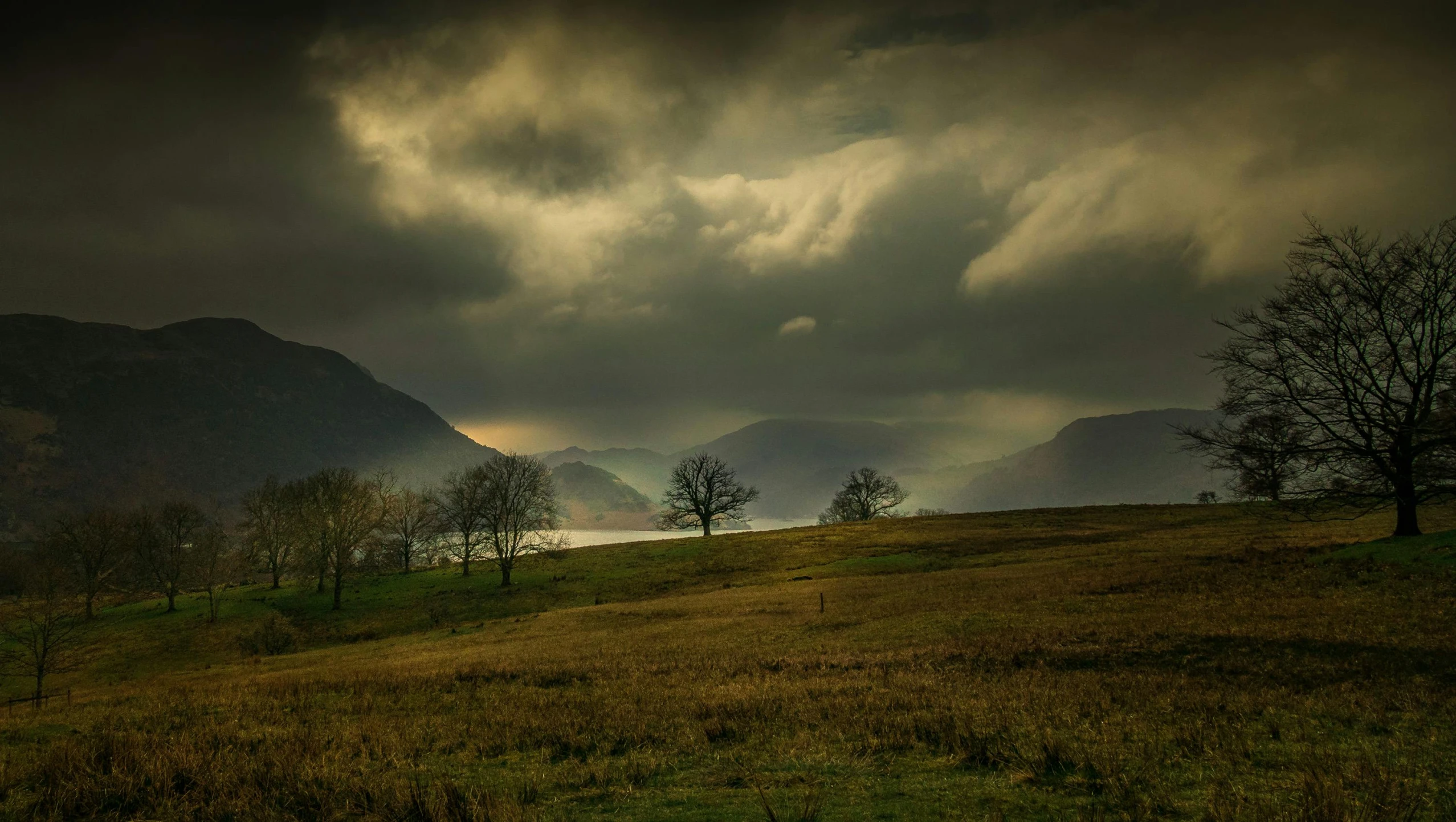 cloudy weather coming down over a grassy field with trees