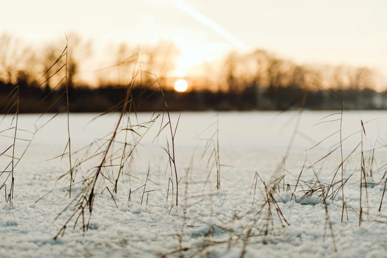 a sun shines on the horizon over a frozen field