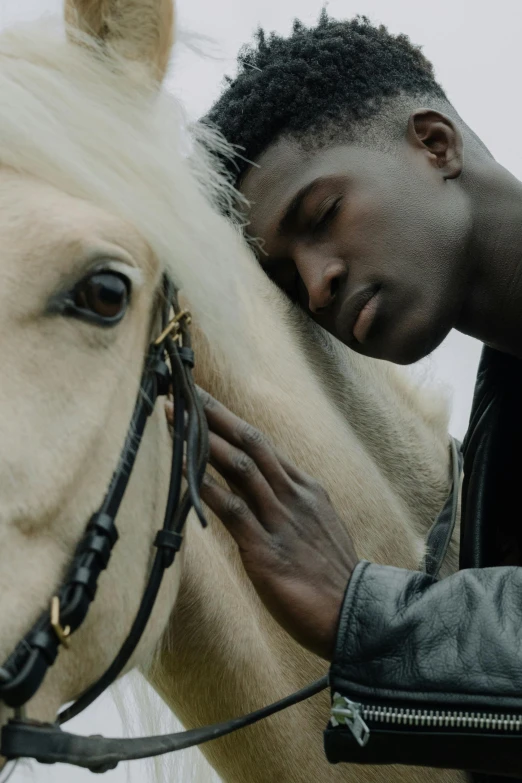 the man is touching the horse head with his hand