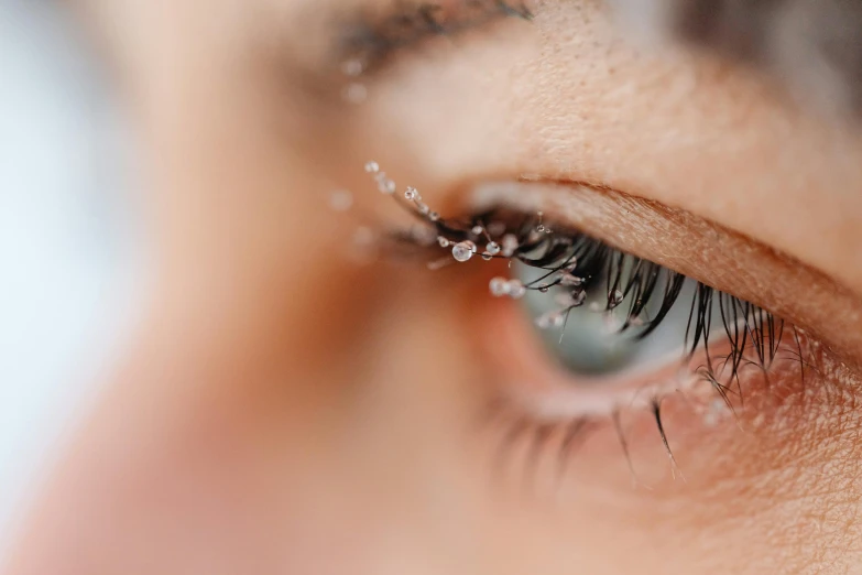 a person's closeup of the left eye