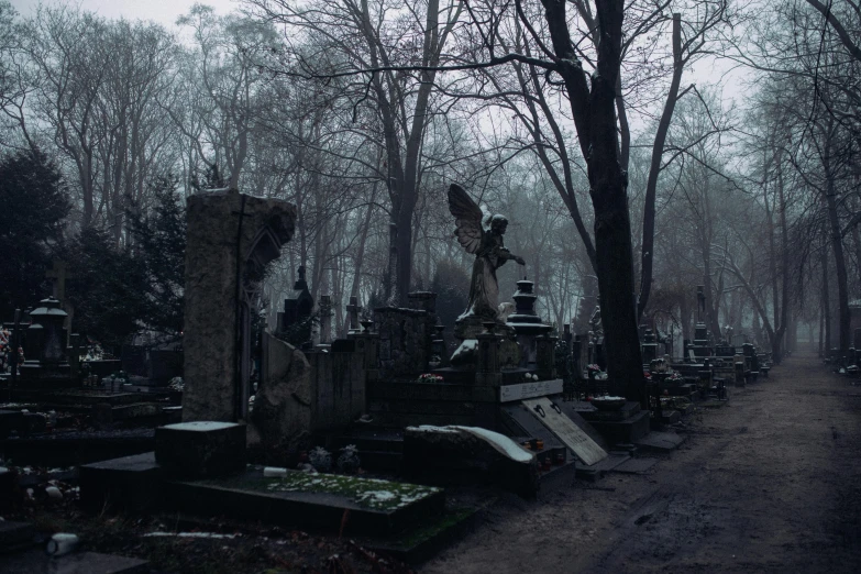 a graveyard in the woods with lots of tombstones