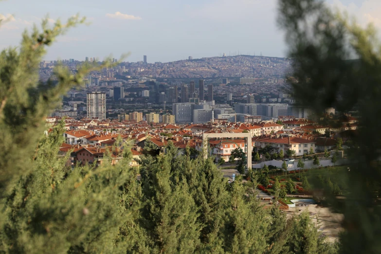 a city view looking through the leaves of the trees