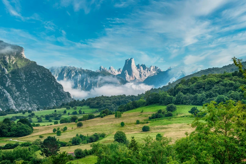 green mountains are dotted with trees and low clouds