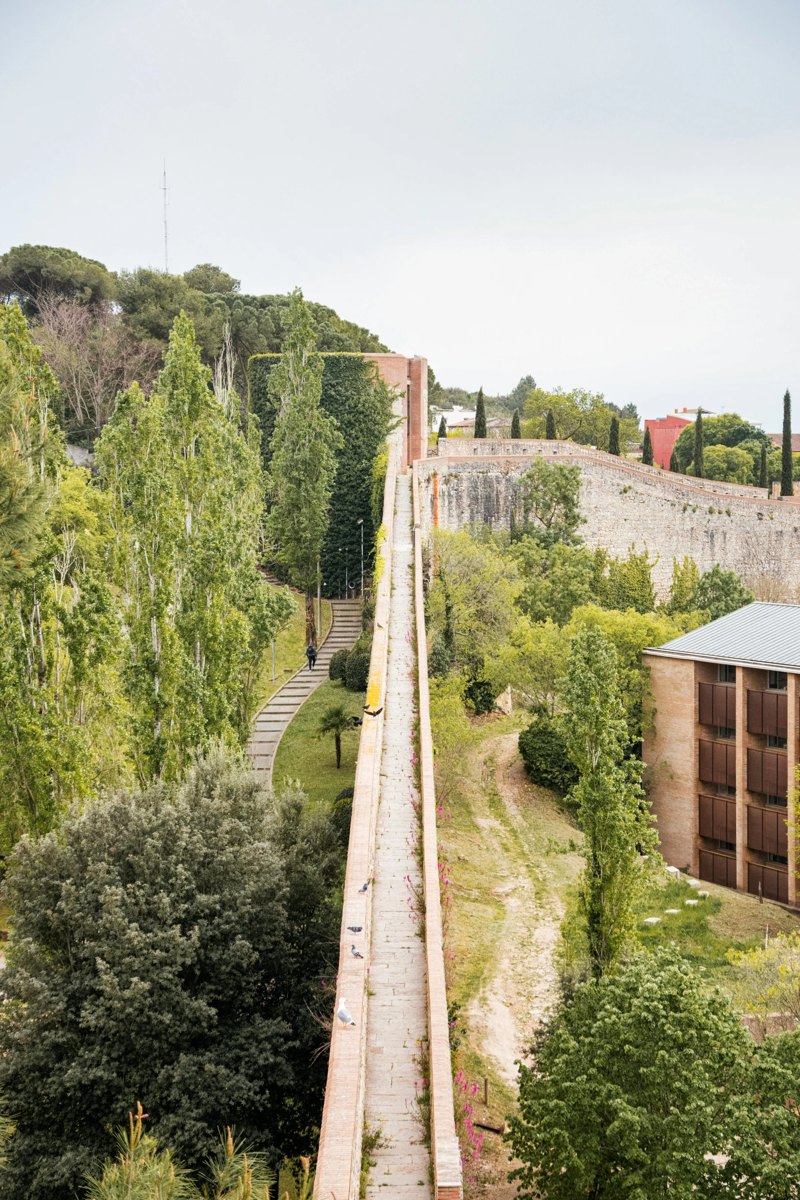 a long train is traveling down the track