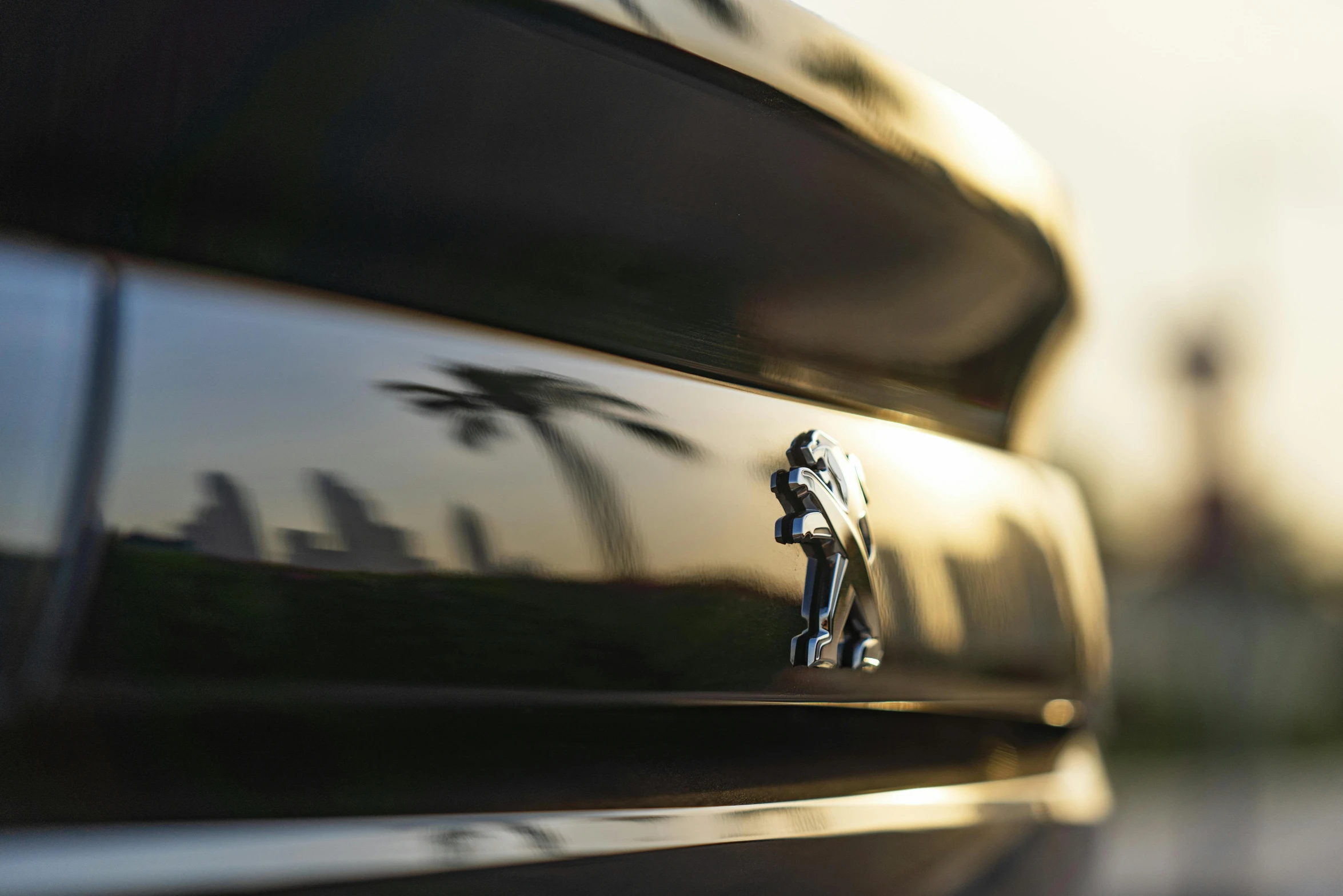 the grill grill of the car with the logo