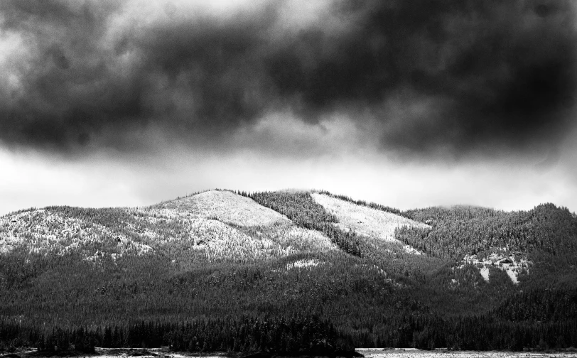 the hill side with a tree covered mountain in the background