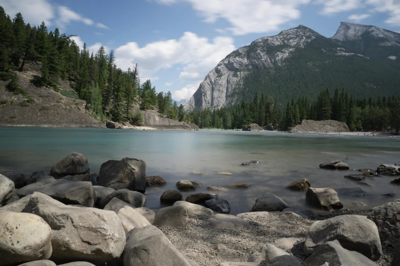 some rocks in the water and some trees