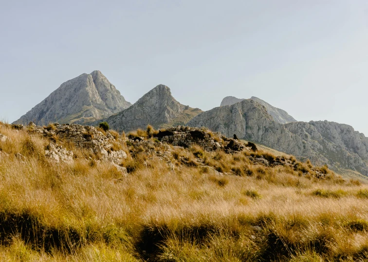 some hills and scrub brush on a bright sunny day