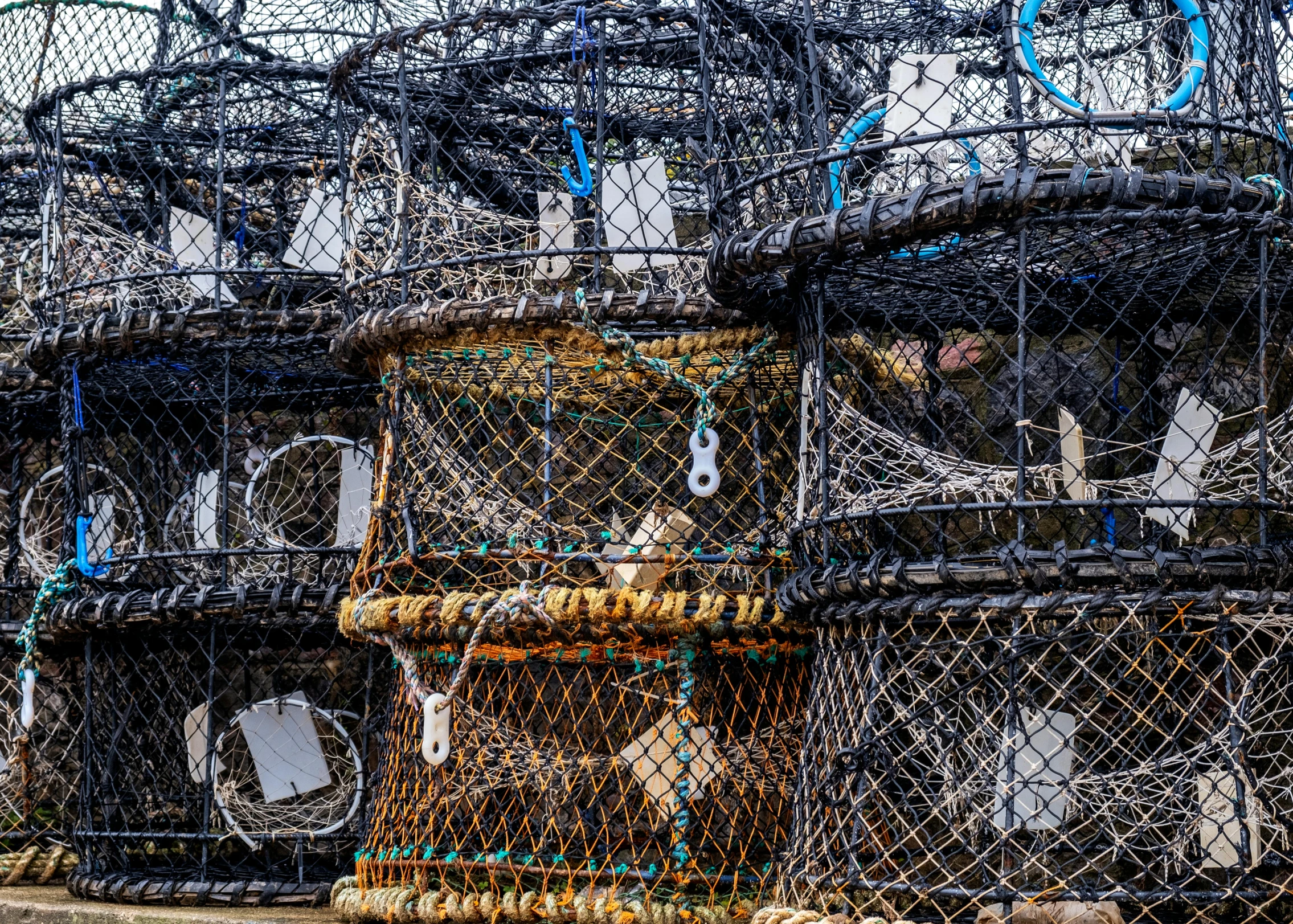 a bunch of caged cages sit on the street