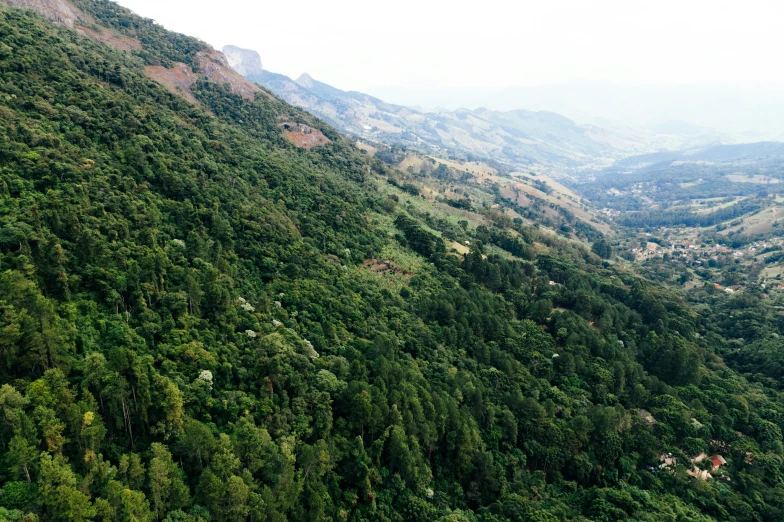 a green mountain covered in trees and lush forest