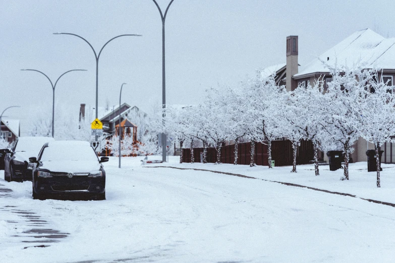 cars on the side of a snowy street