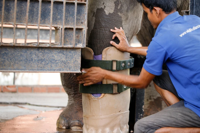 a man placing soing on a piece of cement near an elephant