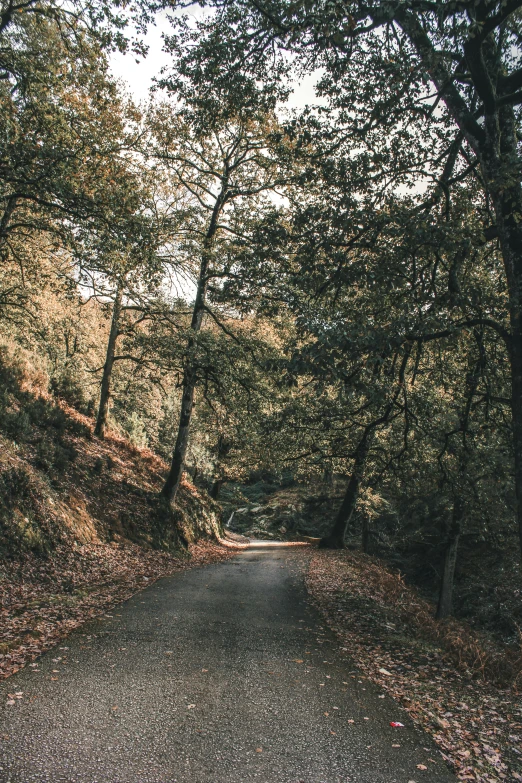 the road is empty of cars but is not moving