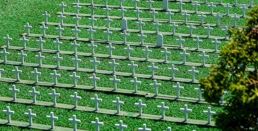 an aerial s of rows of planters with crosses on them