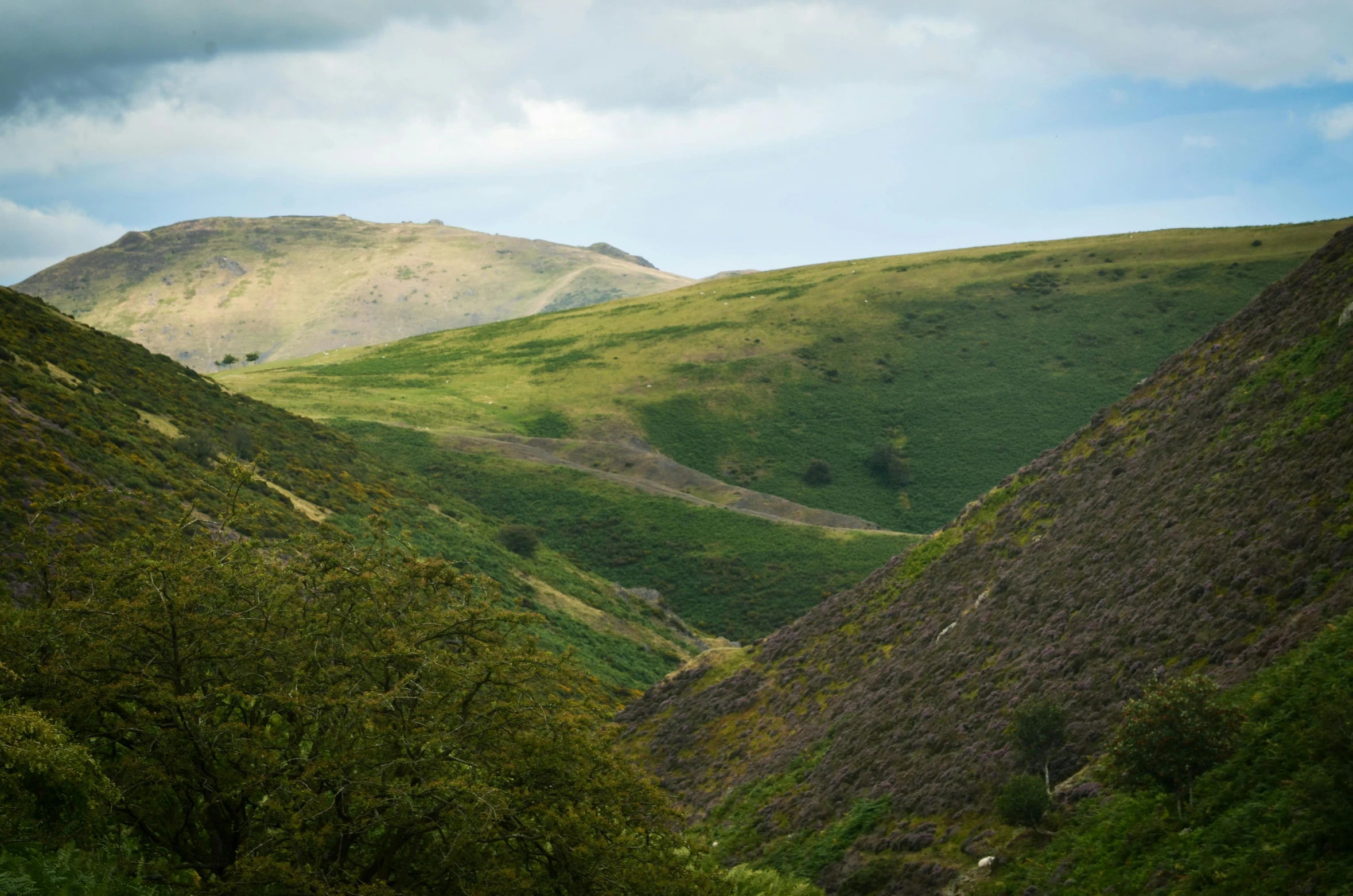 lush green mountains with clouds in the background