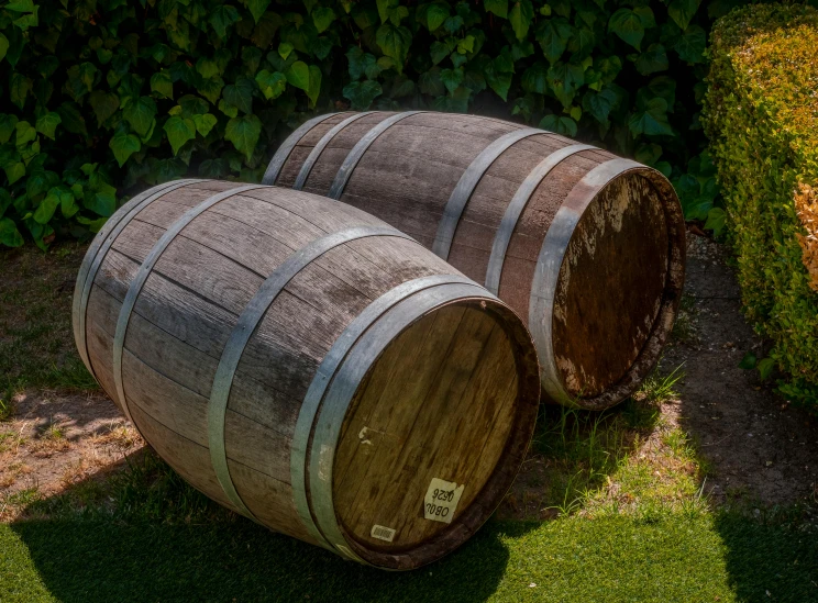 two wooden barrels are on the grass outside