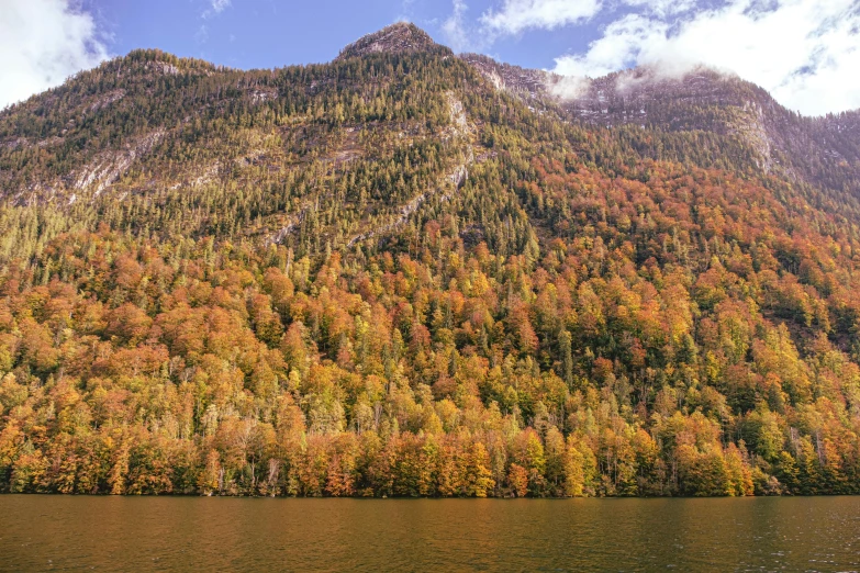 there is a mountain covered in autumn trees