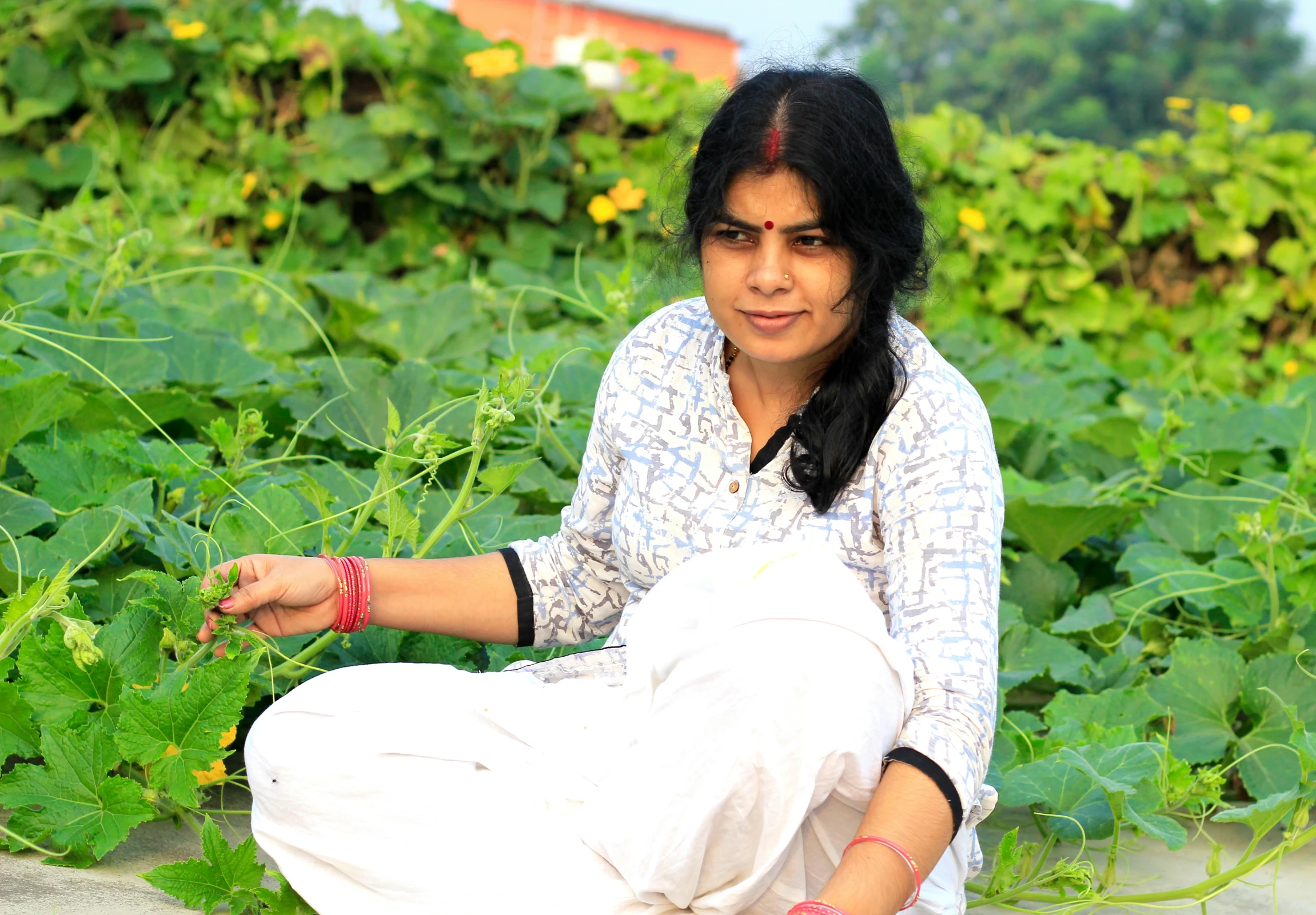 a woman crouches over a bed of plants